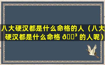 八大硬汉都是什么命格的人（八大硬汉都是什么命格 🌳 的人呢）